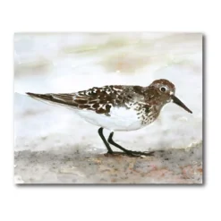 COURTSIDE MARKET Sandpiper I Gallery Canvas Wall Art