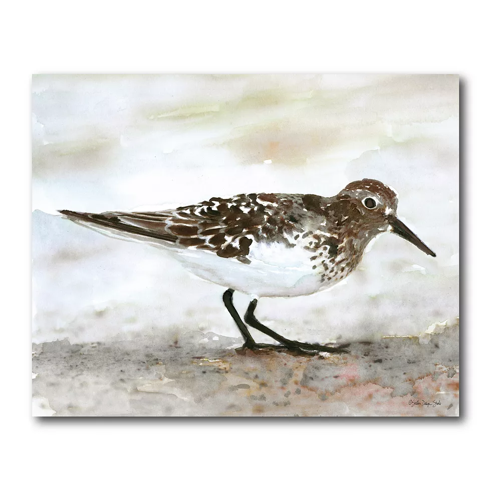 COURTSIDE MARKET Sandpiper I Gallery Canvas Wall Art 3 COURTSIDE MARKET Sandpiper I Gallery Canvas Wall Art