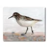COURTSIDE MARKET Sandpiper II Gallery Canvas Wall Art 1 COURTSIDE MARKET Sandpiper II Gallery Canvas Wall Art -Home Decor Discount Store 4504184