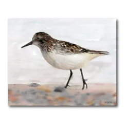 COURTSIDE MARKET Sandpiper II Gallery Canvas Wall Art