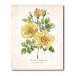 COURTSIDE MARKET Botanical IV Gallery Canvas Wall Art