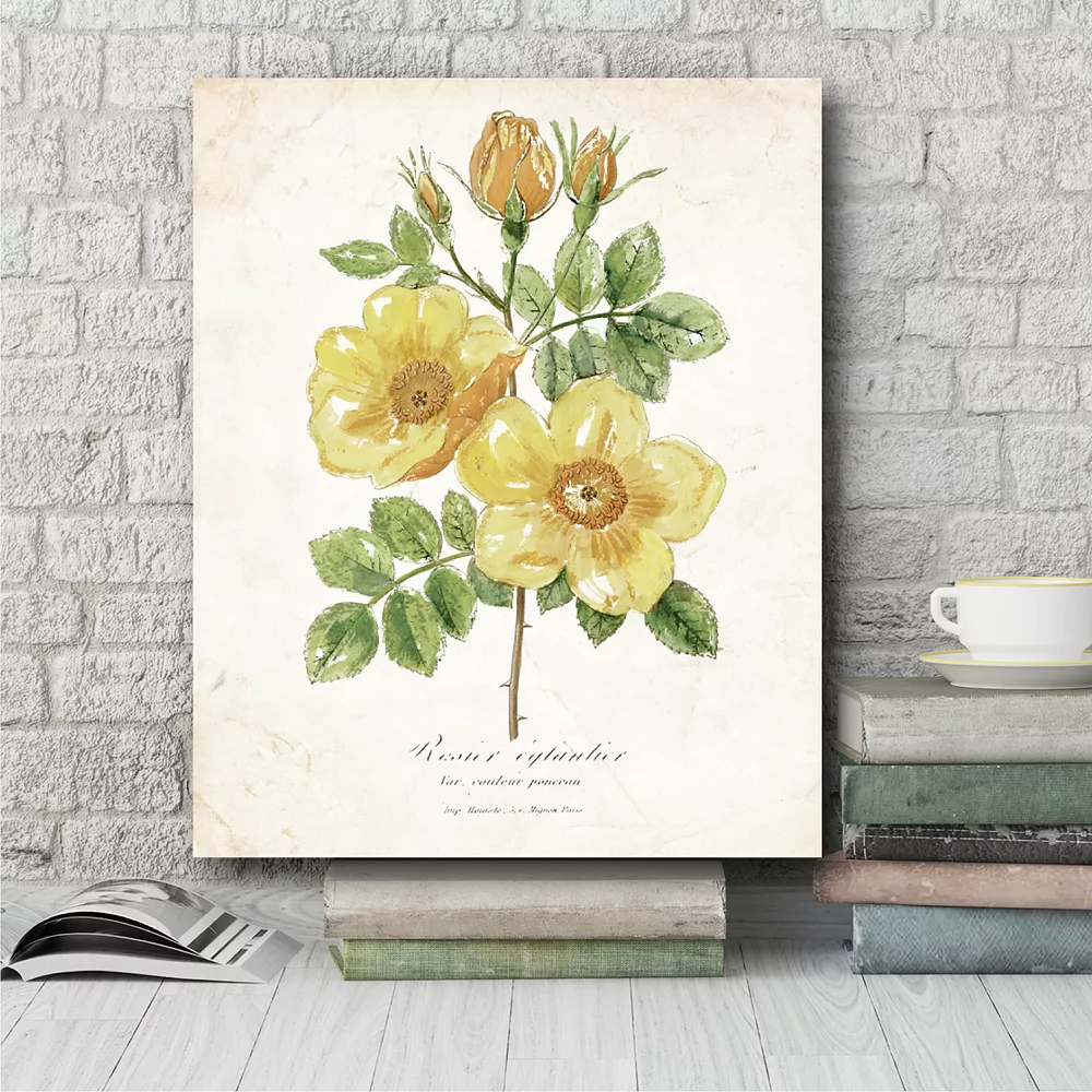 COURTSIDE MARKET Botanical IV Gallery Canvas Wall Art 4 COURTSIDE MARKET Botanical IV Gallery Canvas Wall Art - Image 2