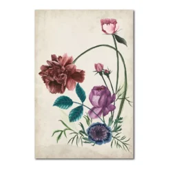 COURTSIDE MARKET Antique Peony II Gallery Canvas Wall Art