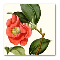 COURTSIDE MARKET Antique Botanical III Canvas