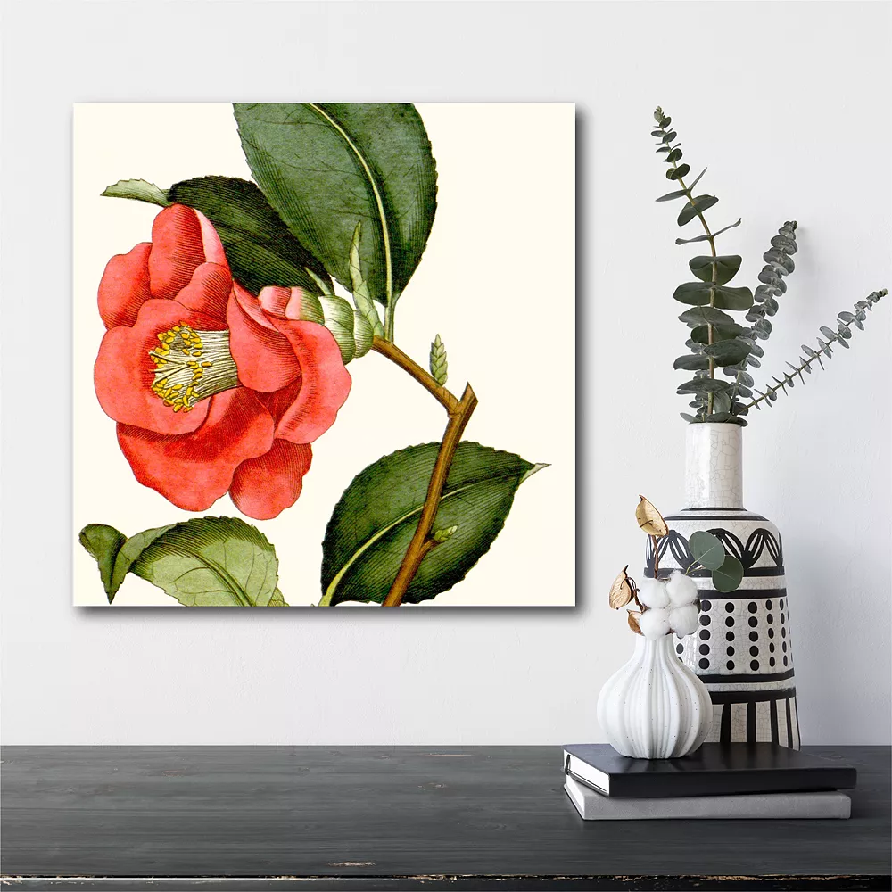 COURTSIDE MARKET Antique Botanical III Canvas 4 COURTSIDE MARKET Antique Botanical III Canvas - Image 2