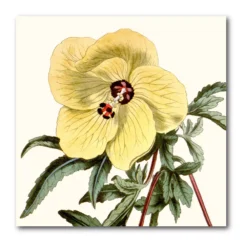 COURTSIDE MARKET Antique Botanical IV Canvas