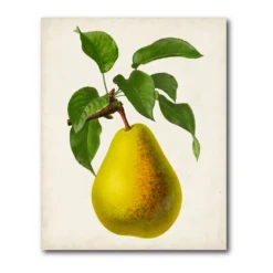 COURTSIDE MARKET Antique Fruit Vi Gallery Canvas Wall Art