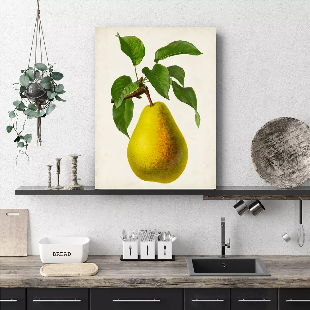 COURTSIDE MARKET Antique Fruit Vi Gallery Canvas Wall Art 4 COURTSIDE MARKET Antique Fruit Vi Gallery Canvas Wall Art - Image 2