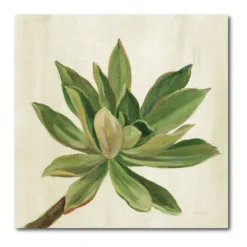 COURTSIDE MARKET Front Yard Succulent I Canvas