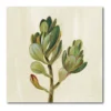 COURTSIDE MARKET Front Yard Succulent II Canvas -Home Decor Discount Store 4504480