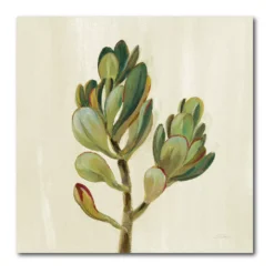 COURTSIDE MARKET Front Yard Succulent II Canvas