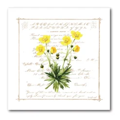 COURTSIDE MARKET Country Floral V Gallery Canvas Wall Art