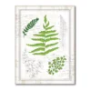 COURTSIDE MARKET Ferns I Gallery Canvas Wall Art -Home Decor Discount Store 4504496