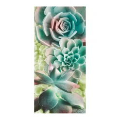 COURTSIDE MARKET Adored Succulents Mural