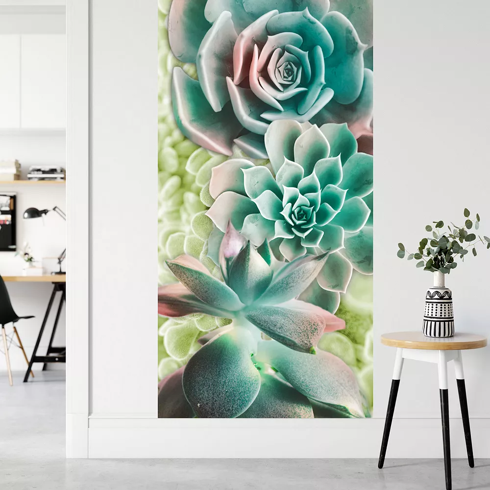 COURTSIDE MARKET Adored Succulents Mural 4 COURTSIDE MARKET Adored Succulents Mural - Image 2