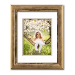 Tempo Collection Champagne Wall Frame With Double Mat