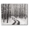 COURTSIDE MARKET Snowy Country Road Canvas Wall Art 2 COURTSIDE MARKET Snowy Country Road Canvas Wall Art -Home Decor Discount Store 4661017