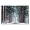 COURTSIDE MARKET Pines In Winter Dress Canvas Wall Art -Home Decor Discount Store 4664451