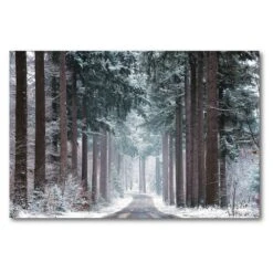COURTSIDE MARKET Pines In Winter Dress Canvas Wall Art