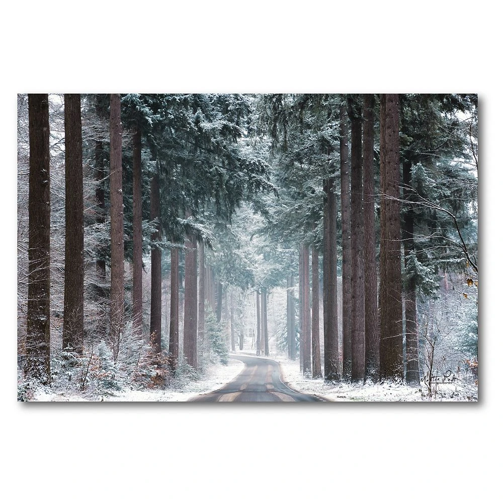 COURTSIDE MARKET Pines In Winter Dress Canvas Wall Art 3 COURTSIDE MARKET Pines In Winter Dress Canvas Wall Art