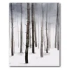 COURTSIDE MARKET Hazy Winter Walk II Canvas Wall Art 1 COURTSIDE MARKET Hazy Winter Walk II Canvas Wall Art -Home Decor Discount Store 4664467