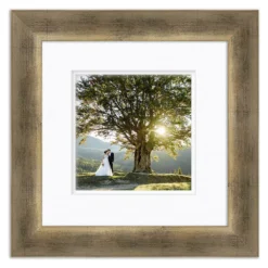 COURTSIDE MARKET Gala Champagne 8" X 8" Frame