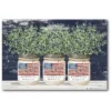 Courtside Market American Mason Canvas Wall Art
