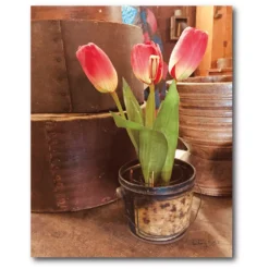 COURTSIDE MARKET Tulip Simplicity Canvas Wall Art