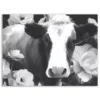 COURTSIDE MARKET Black & White Cow Canvas Wall Art 2 COURTSIDE MARKET Black & White Cow Canvas Wall Art -Home Decor Discount Store 5147477