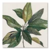 COURTSIDE MARKET Magnolia Leaves I Canvas Wall Art