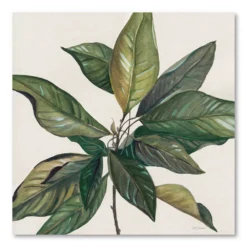 COURTSIDE MARKET Magnolia Leaves I Canvas Wall Art