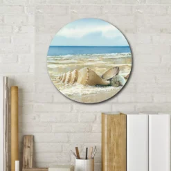 Courtside Market Shells Circular Board Wall Art -Home Decor Discount Store 5702577 ALT3