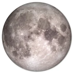 Courtside Market Full Moon Circular Board Wall Art