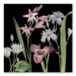 COURTSIDE MARKET Dusty Plum Botanical II Canvas Wall Art